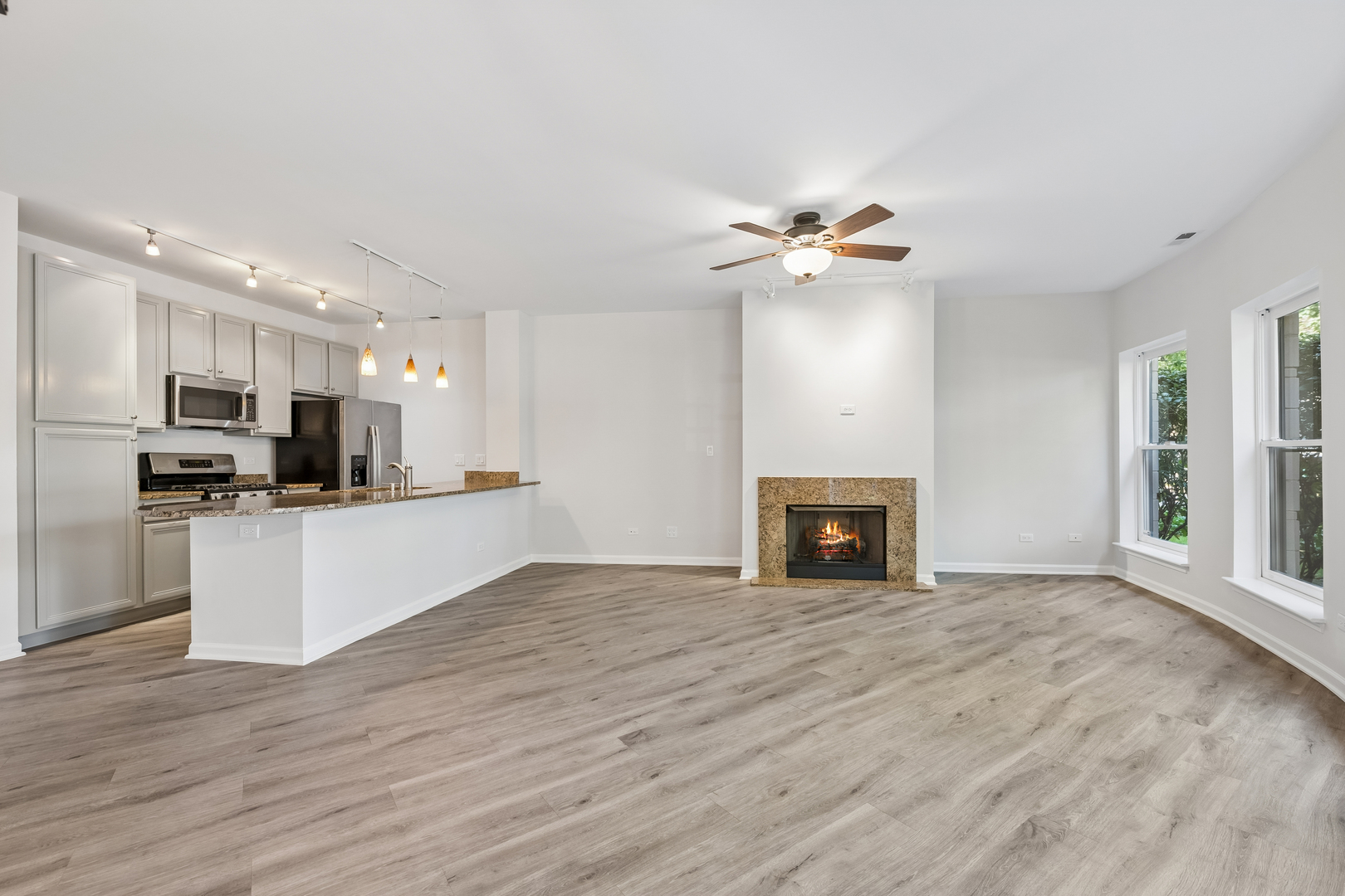 1450 S Halsted Street 1a Property Photo 3
