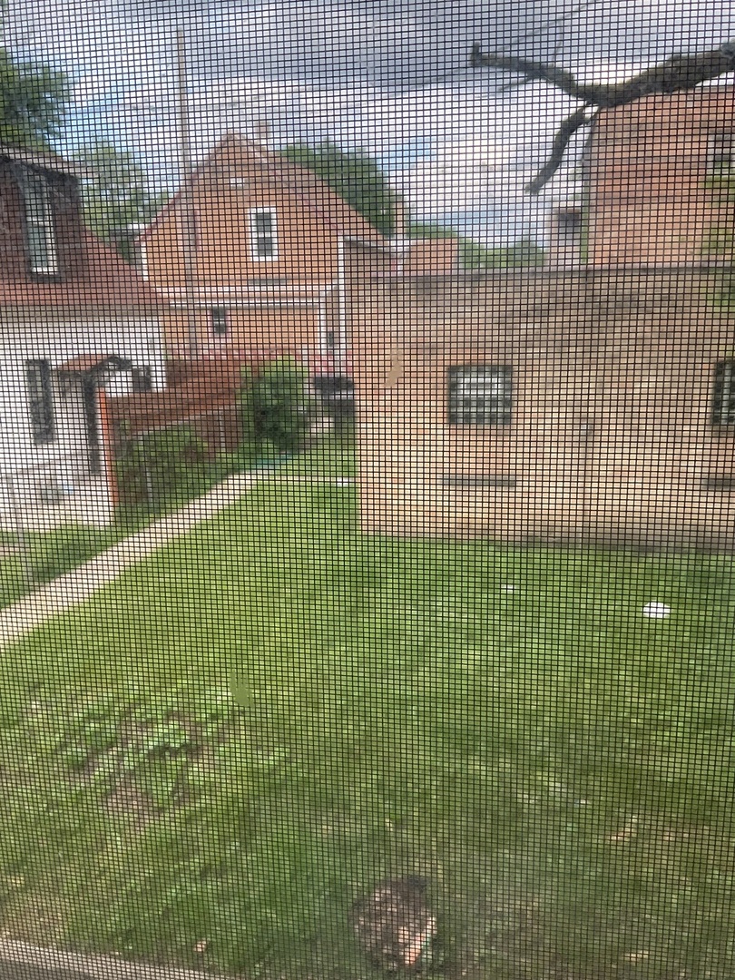 8955 S May Street Property Photo 21