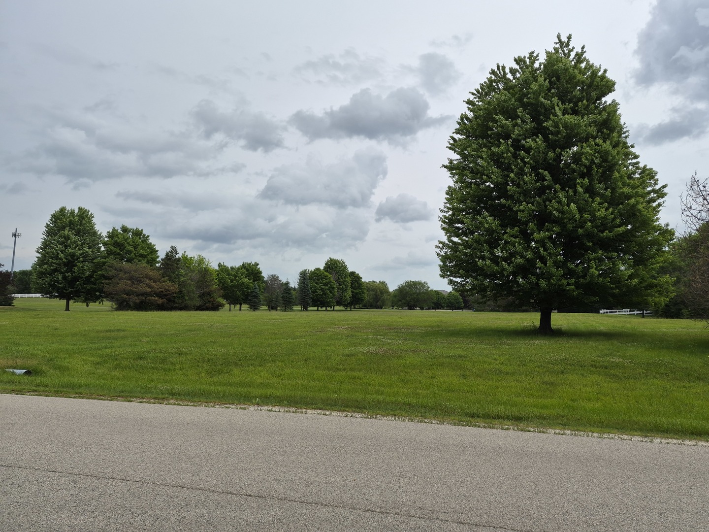 37133 N Fox Hill Drive Property Photo 4