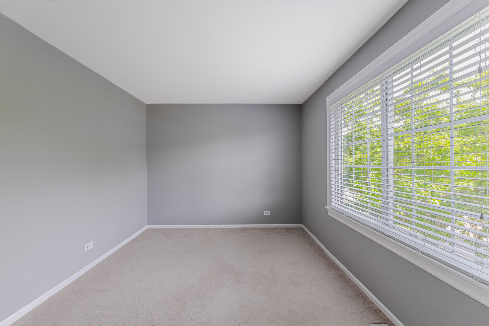 1371 E Braymore Circle Property Photo 24