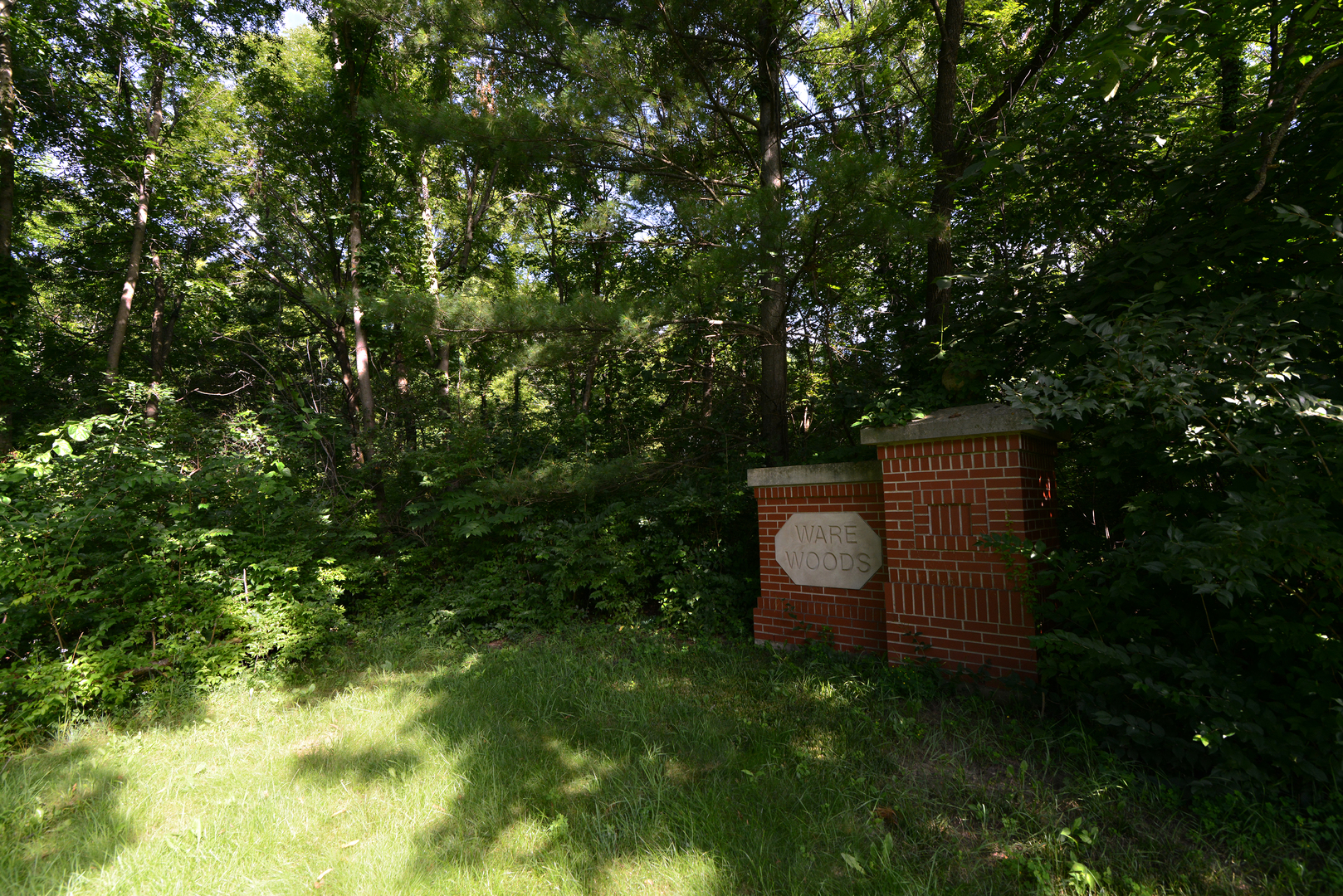 Lot 1 Ware Woods Drive Property Photo 3