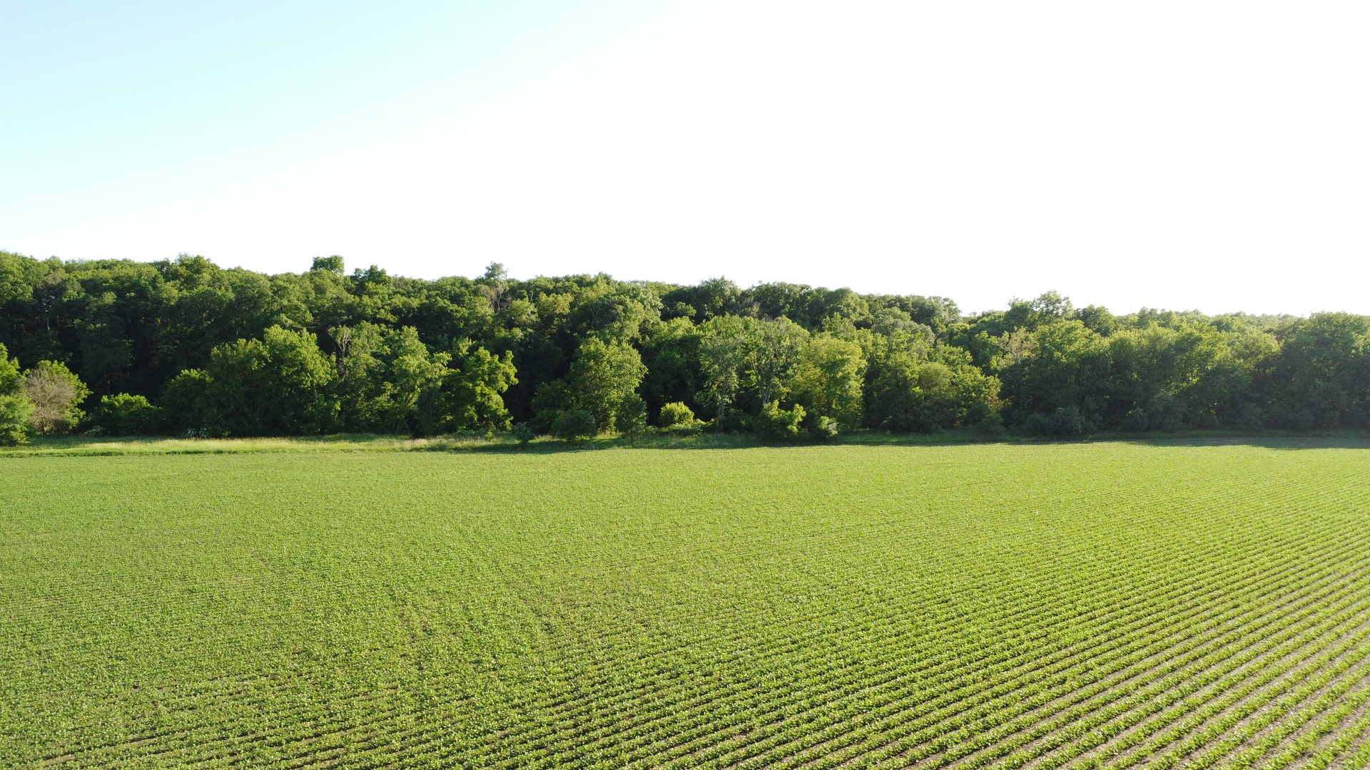 02 County Road 525n Property Photo 8