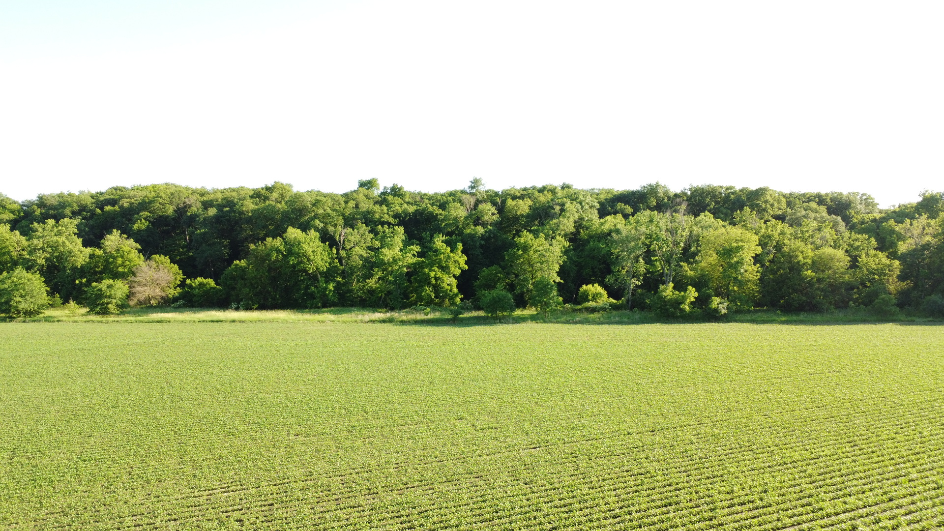 02 County Road 525n Property Photo 16