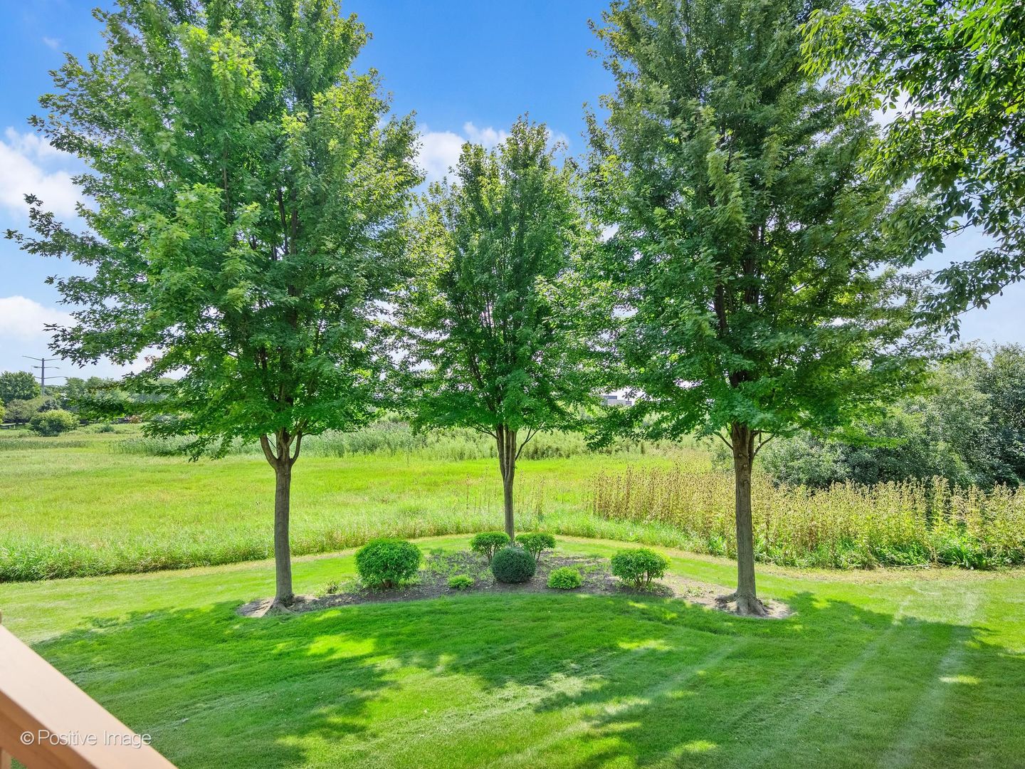 134 Chestnut Hills Circle Property Photo 30