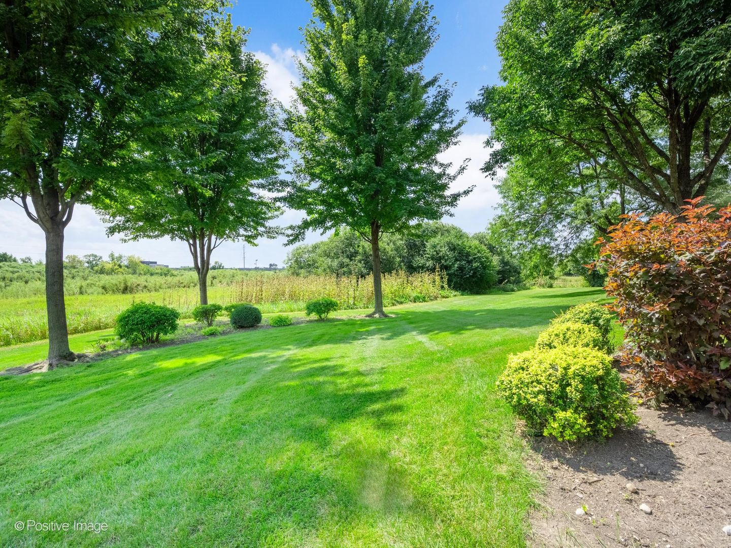 134 Chestnut Hills Circle Property Photo 34