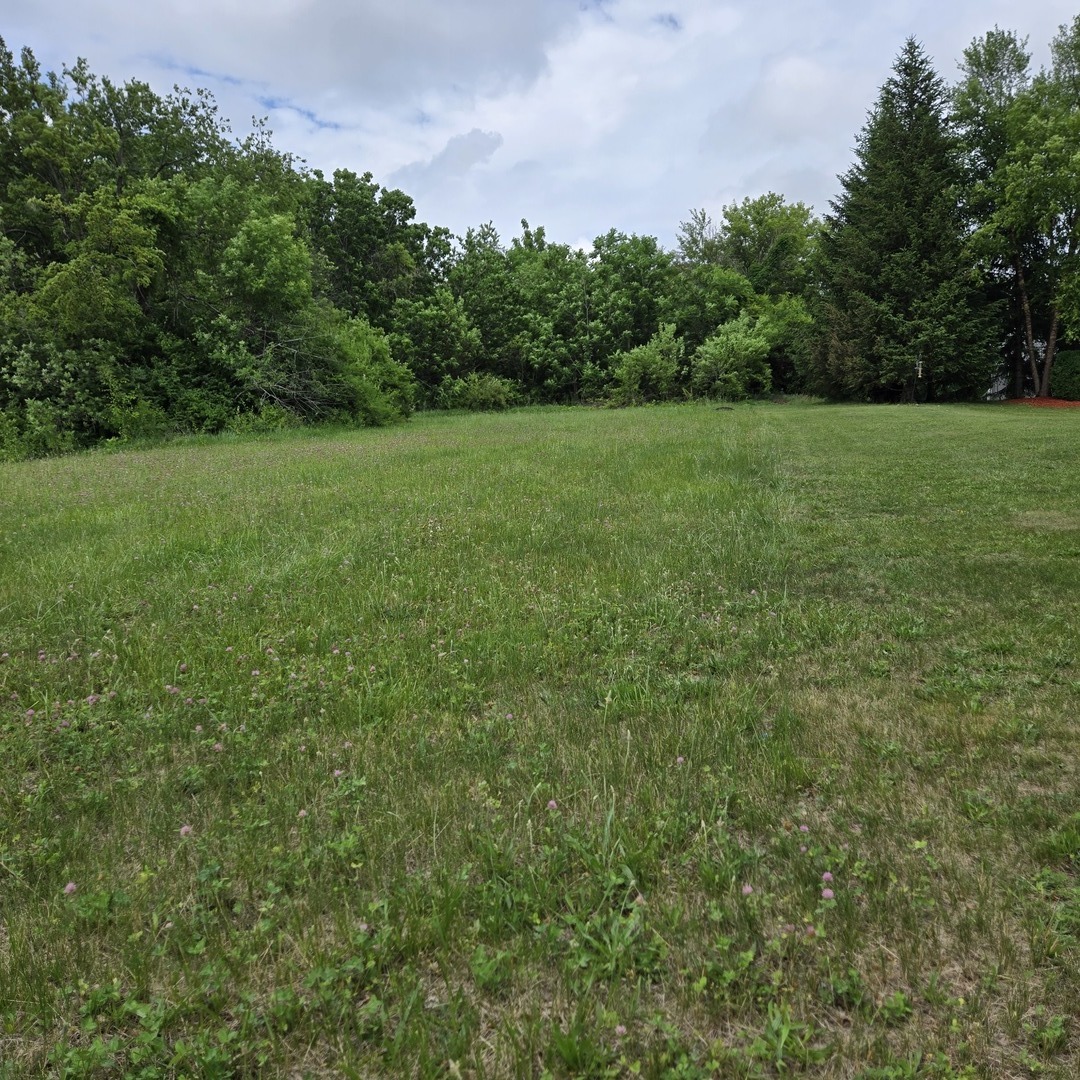203 Candlewick Drive Property Photo 4