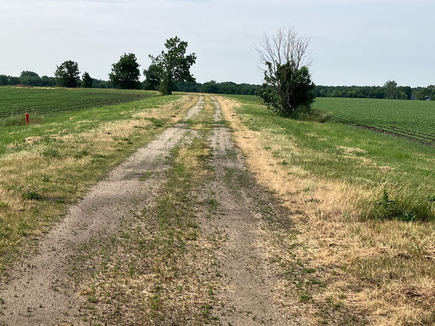 00 Center Road Property Photo 30