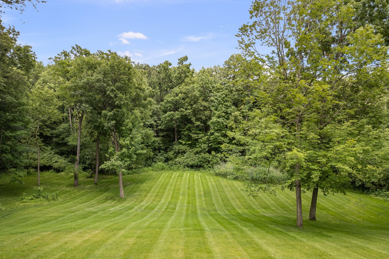 2296 Forest Reed Place Property Photo 7