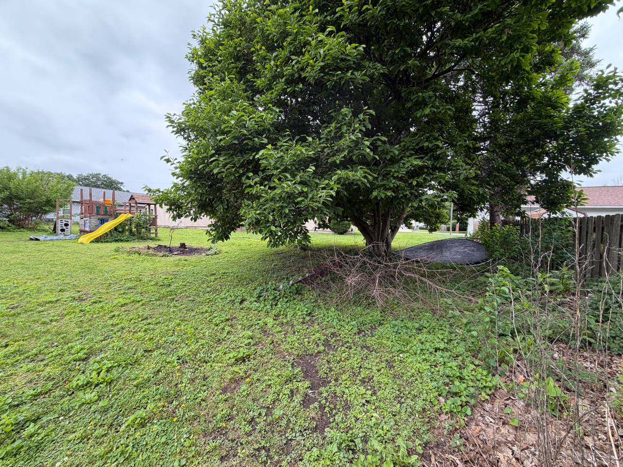 111 Orchard Street Property Photo 13