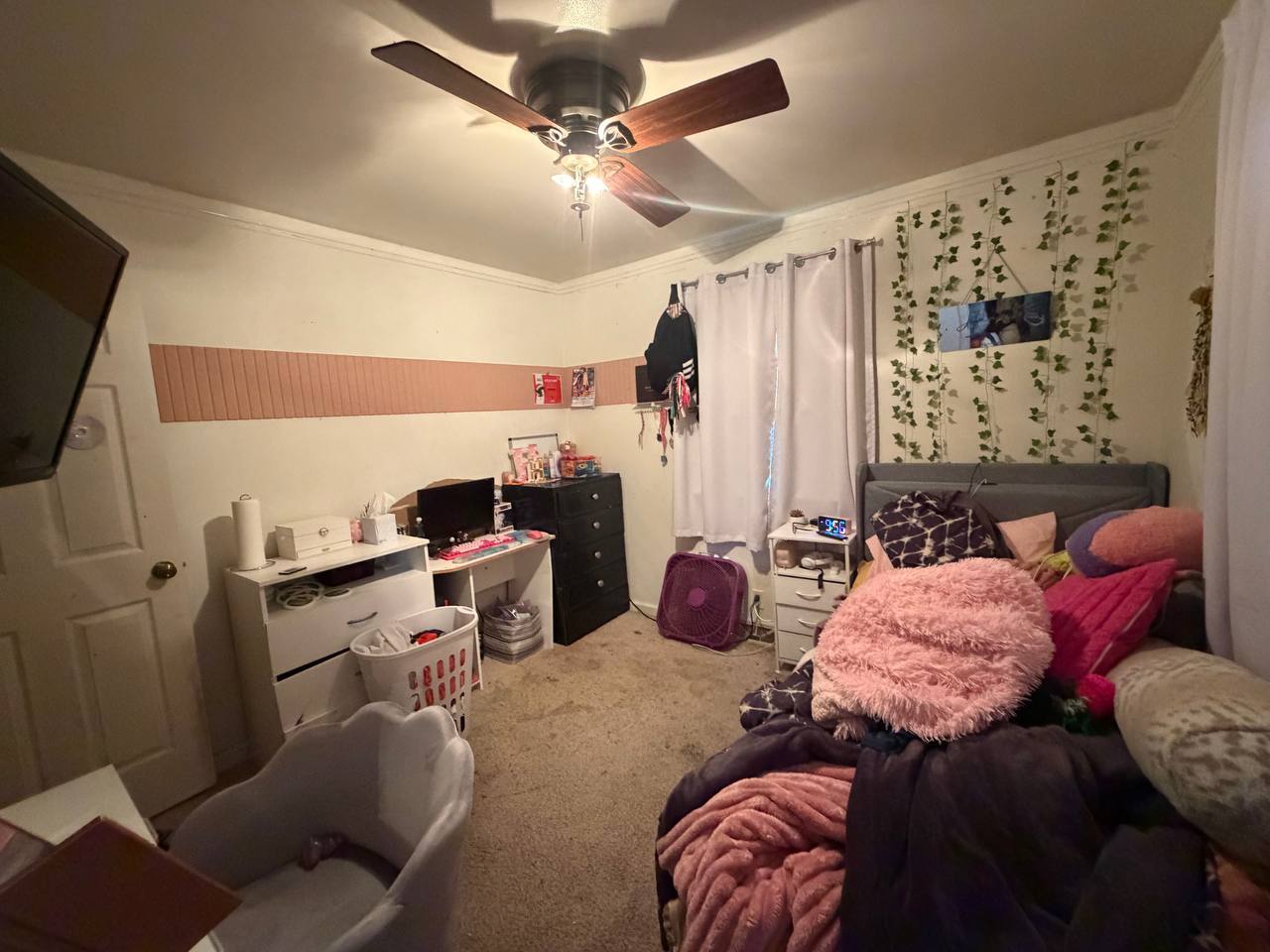 111 Orchard Street Property Photo 27