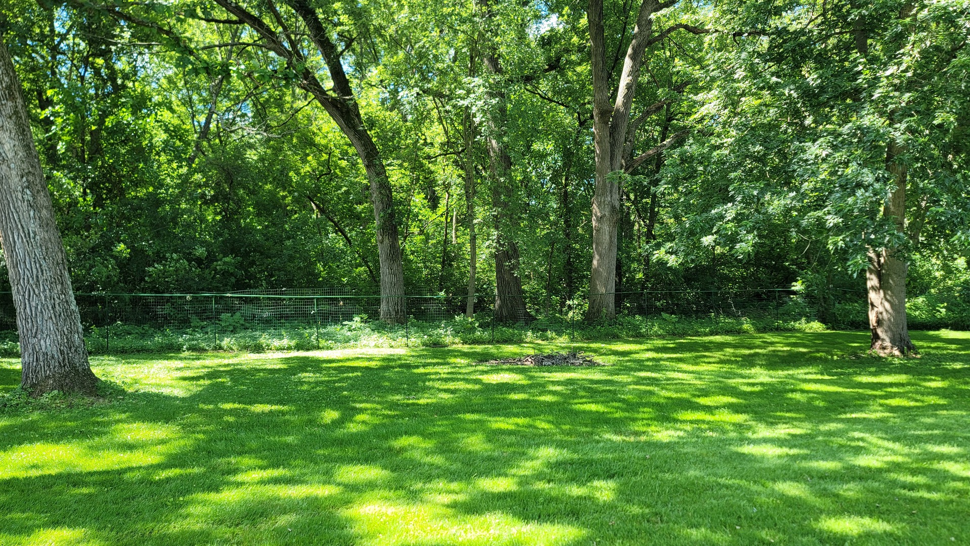 2127 Salem Avenue Property Photo 3