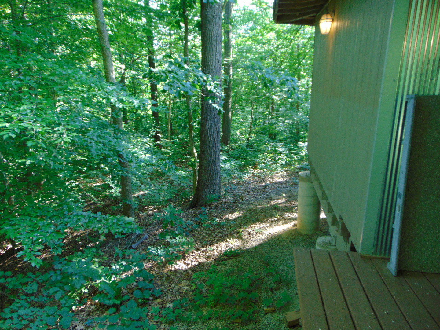 1466 Highway 151 Road Property Photo 7