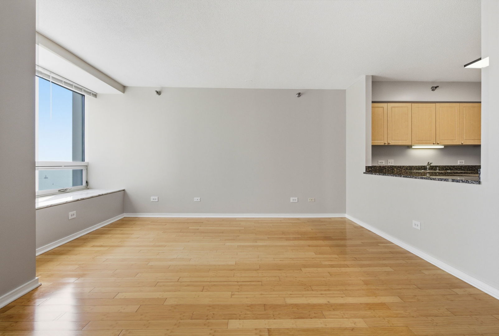 512 N Mcclurg Court 2402 Property Photo 4