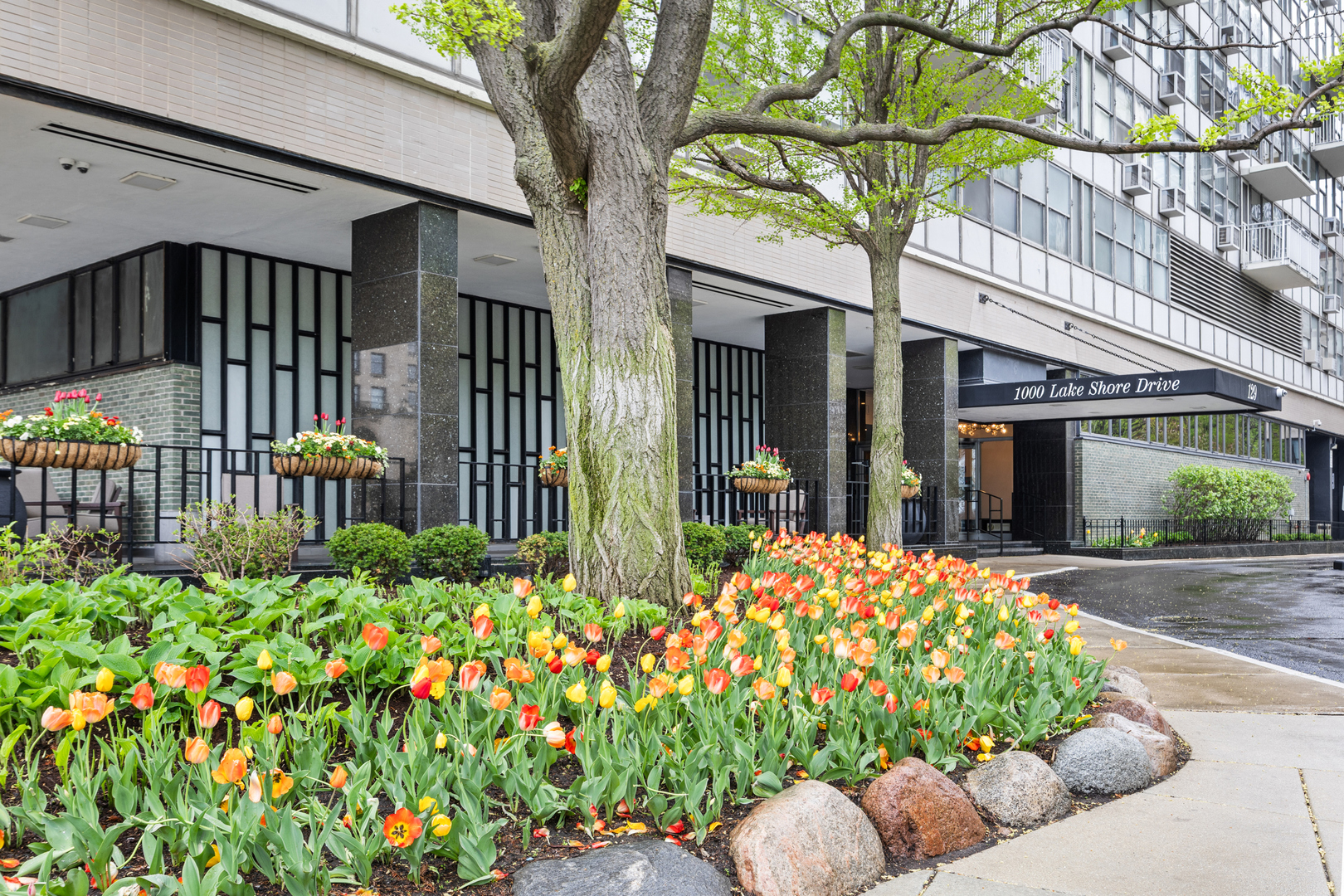 1000 N Lake Shore Drive 808 Property Photo 2