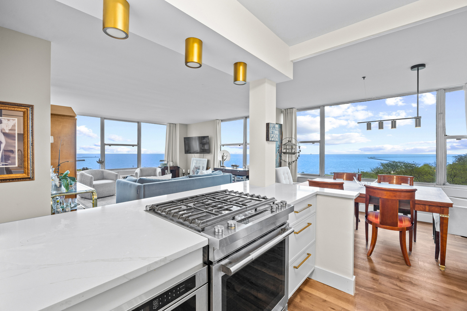 1000 N Lake Shore Drive 808 Property Photo 4