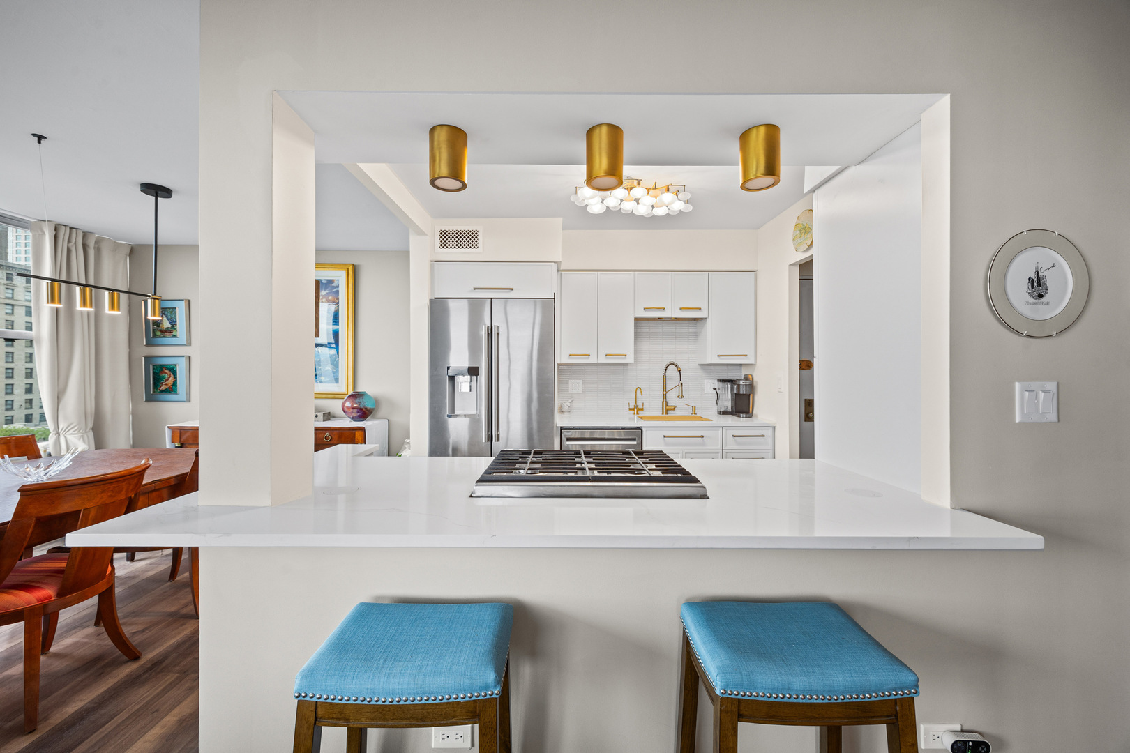 1000 N Lake Shore Drive 808 Property Photo 7