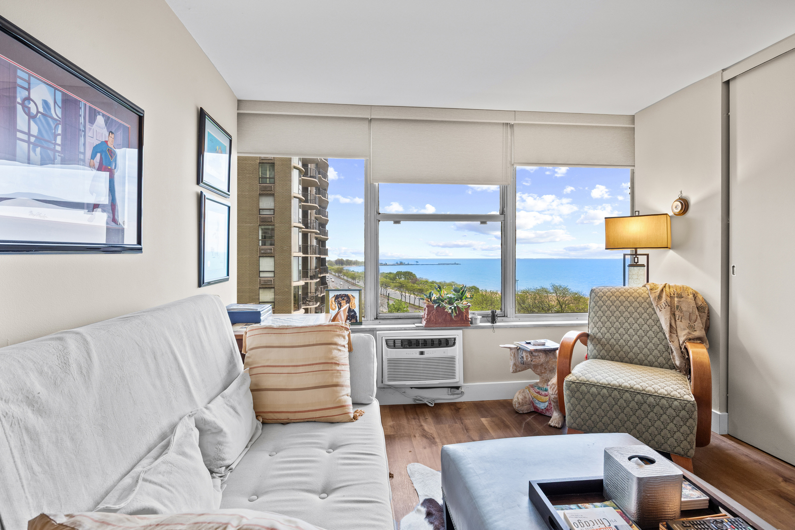 1000 N Lake Shore Drive 808 Property Photo 15