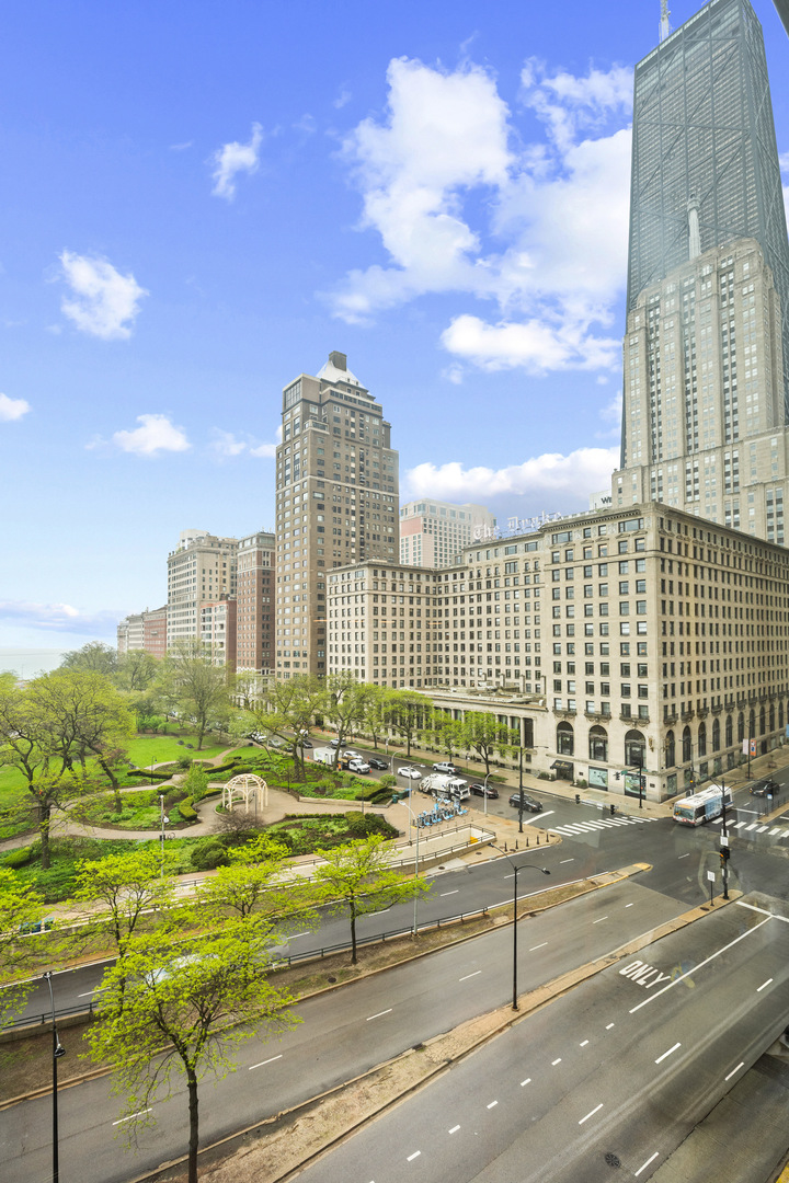 1000 N Lake Shore Drive 808 Property Photo 28