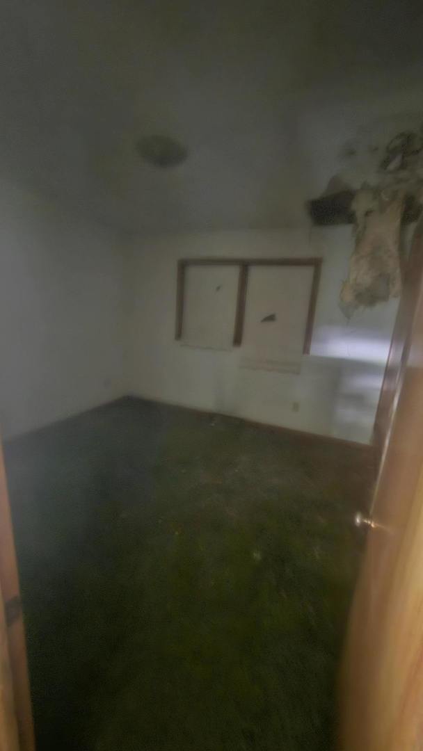 12675412 Property Photo 11