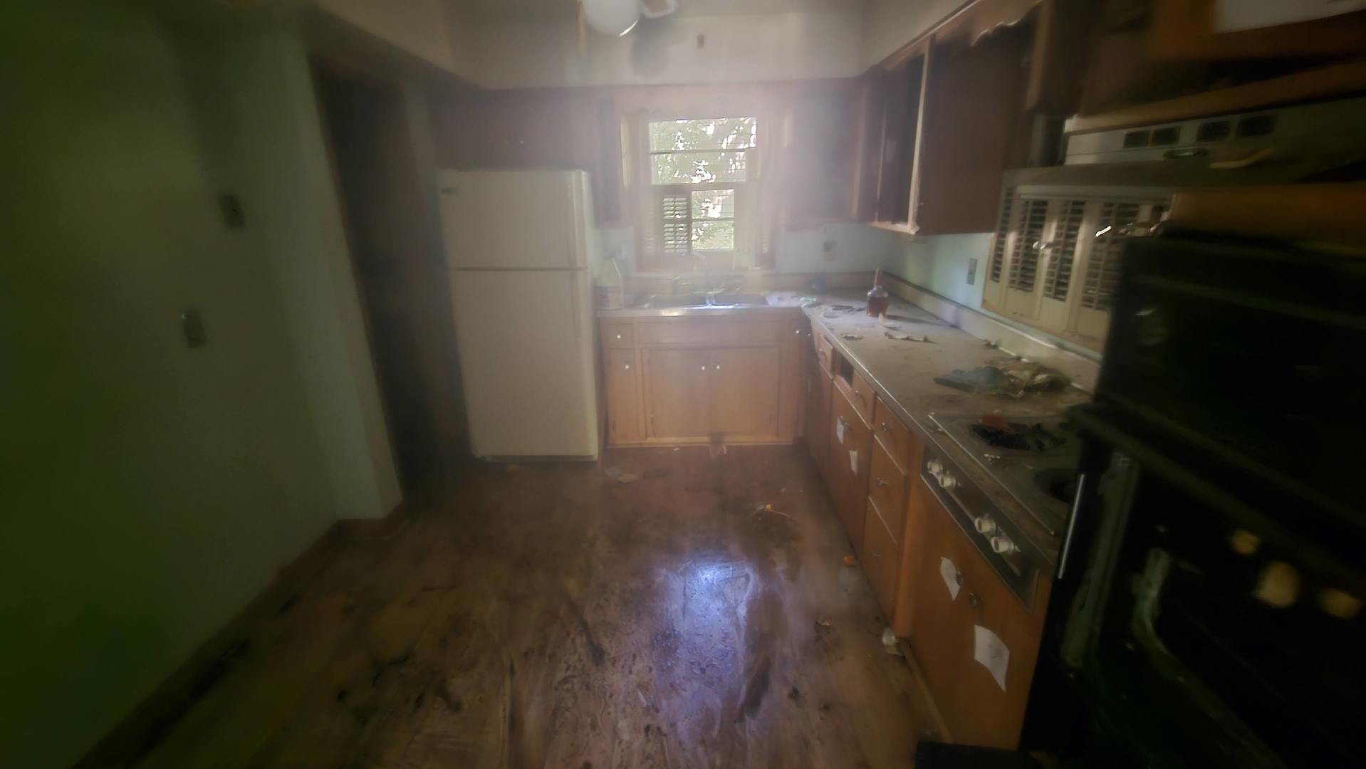 12675412 Property Photo 16