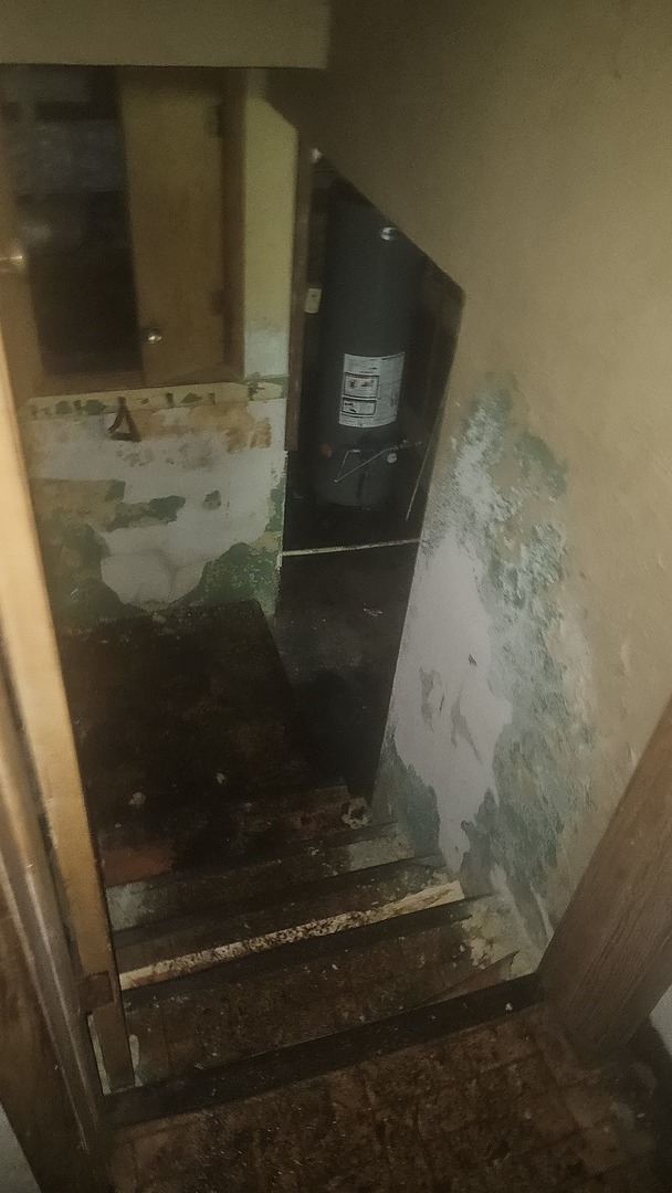 12675412 Property Photo 17