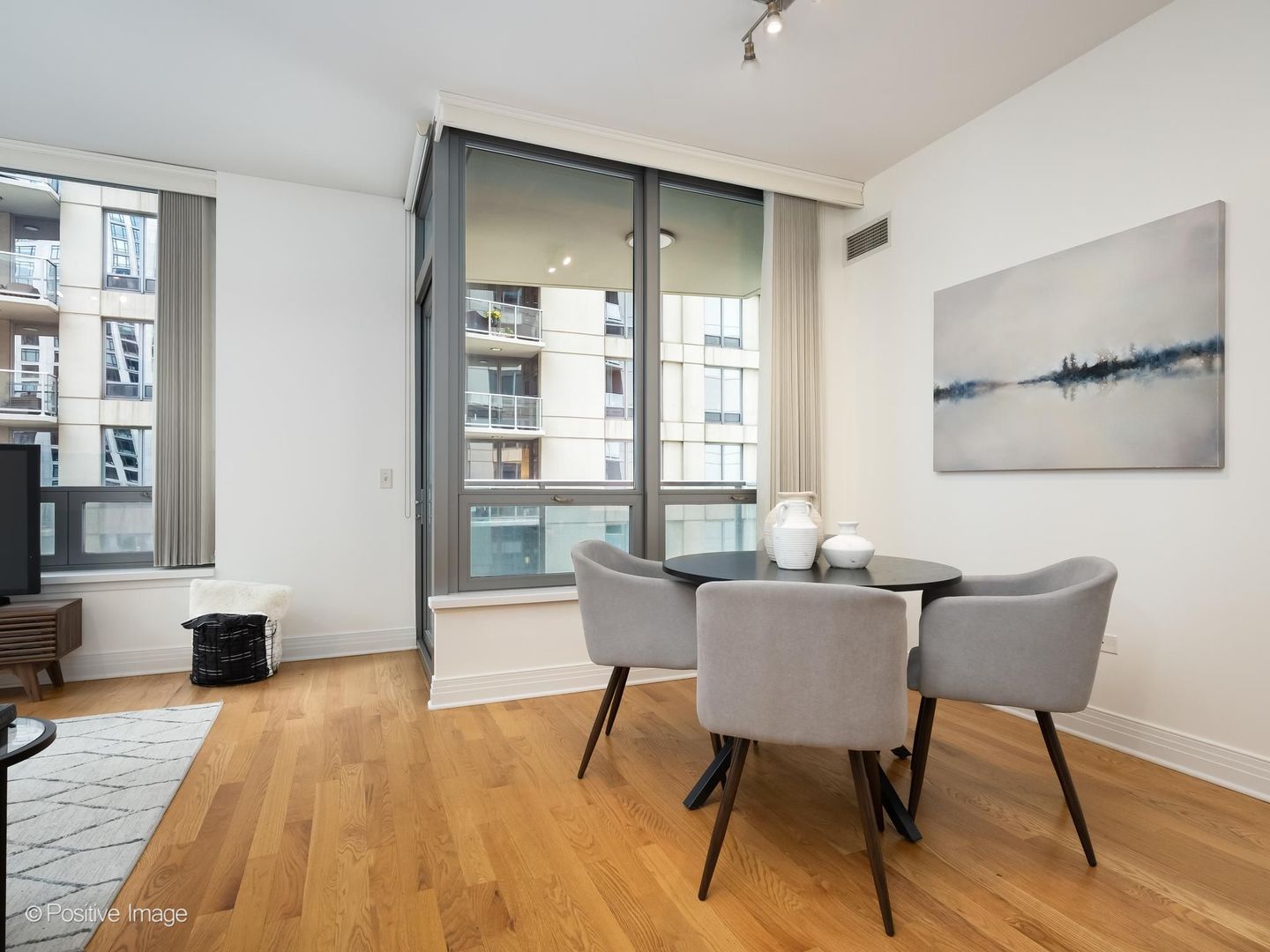 600 N Lake Shore Drive 1909 Property Photo 4