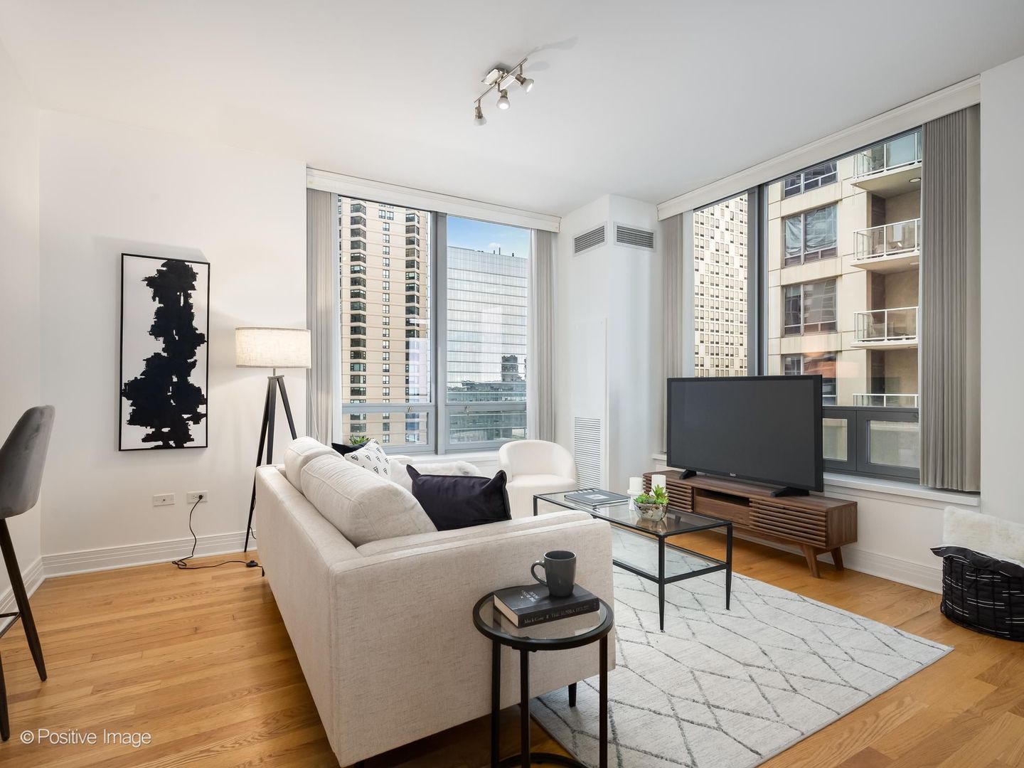 600 N Lake Shore Drive 1909 Property Photo 7