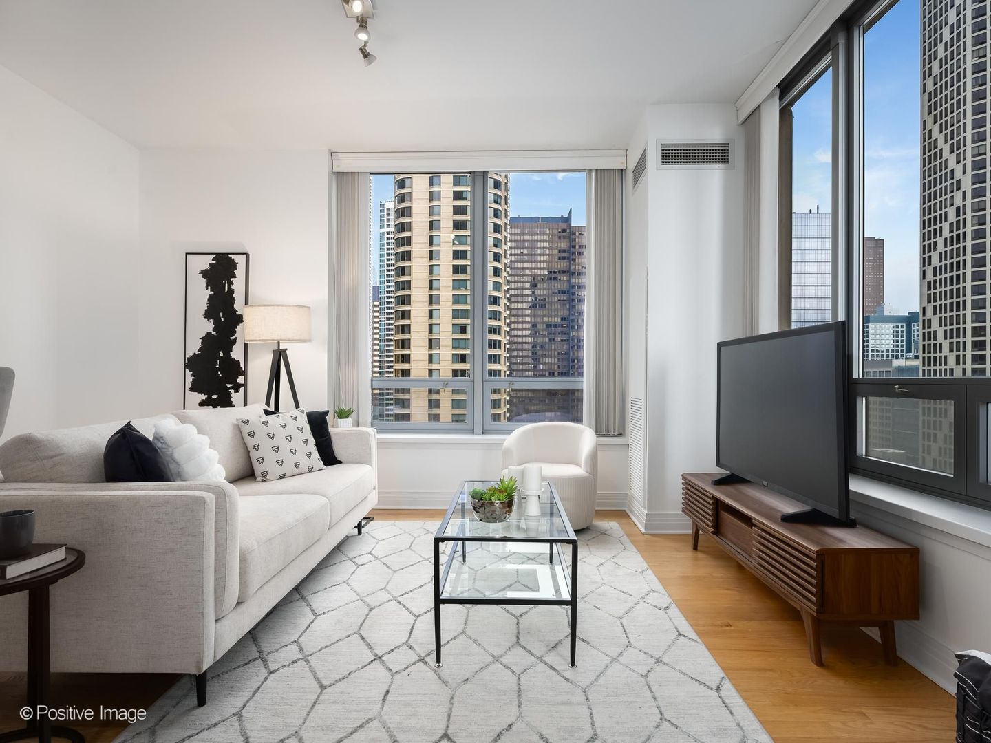 600 N Lake Shore Drive 1909 Property Photo 8