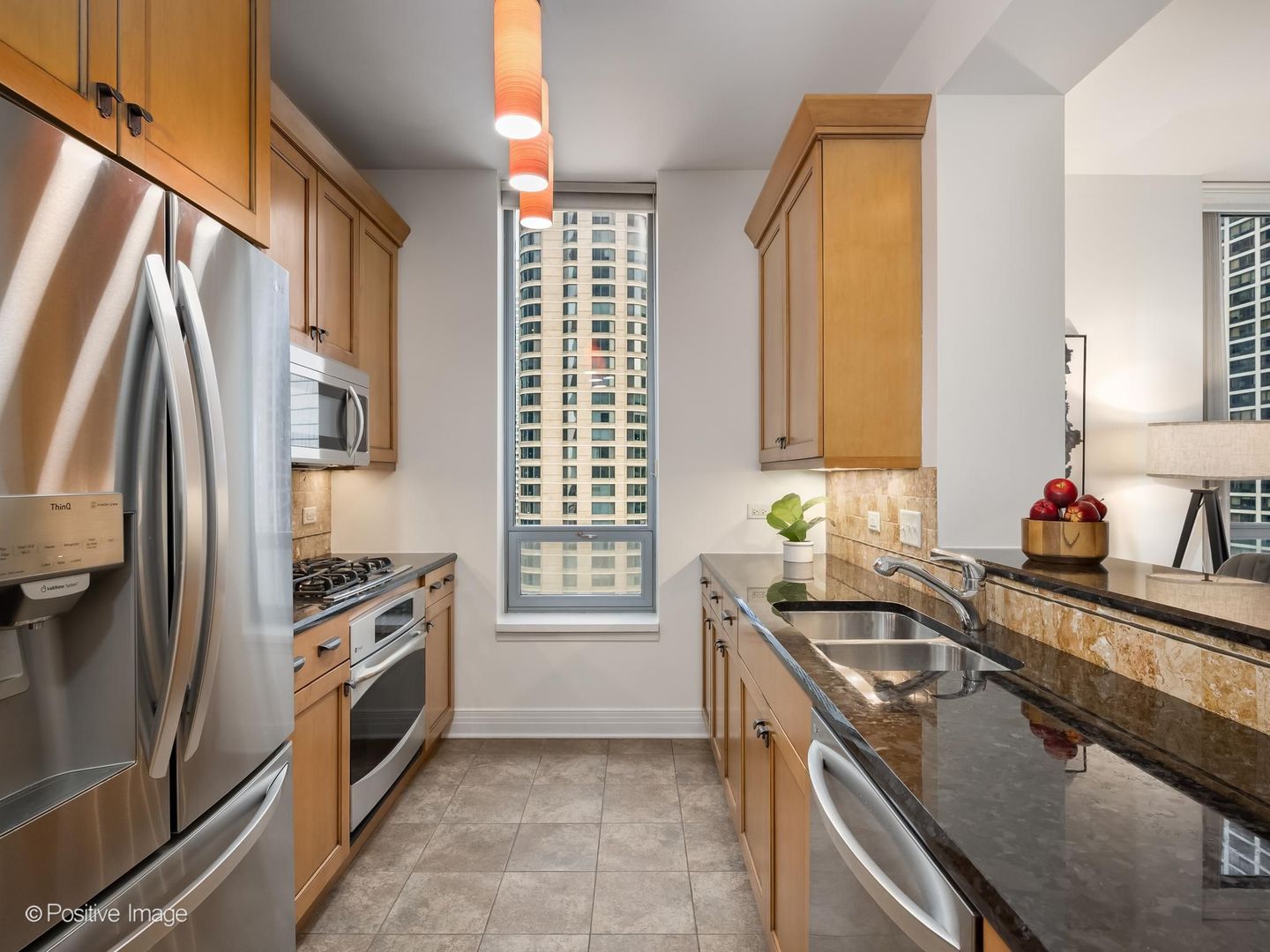 600 N Lake Shore Drive 1909 Property Photo 12