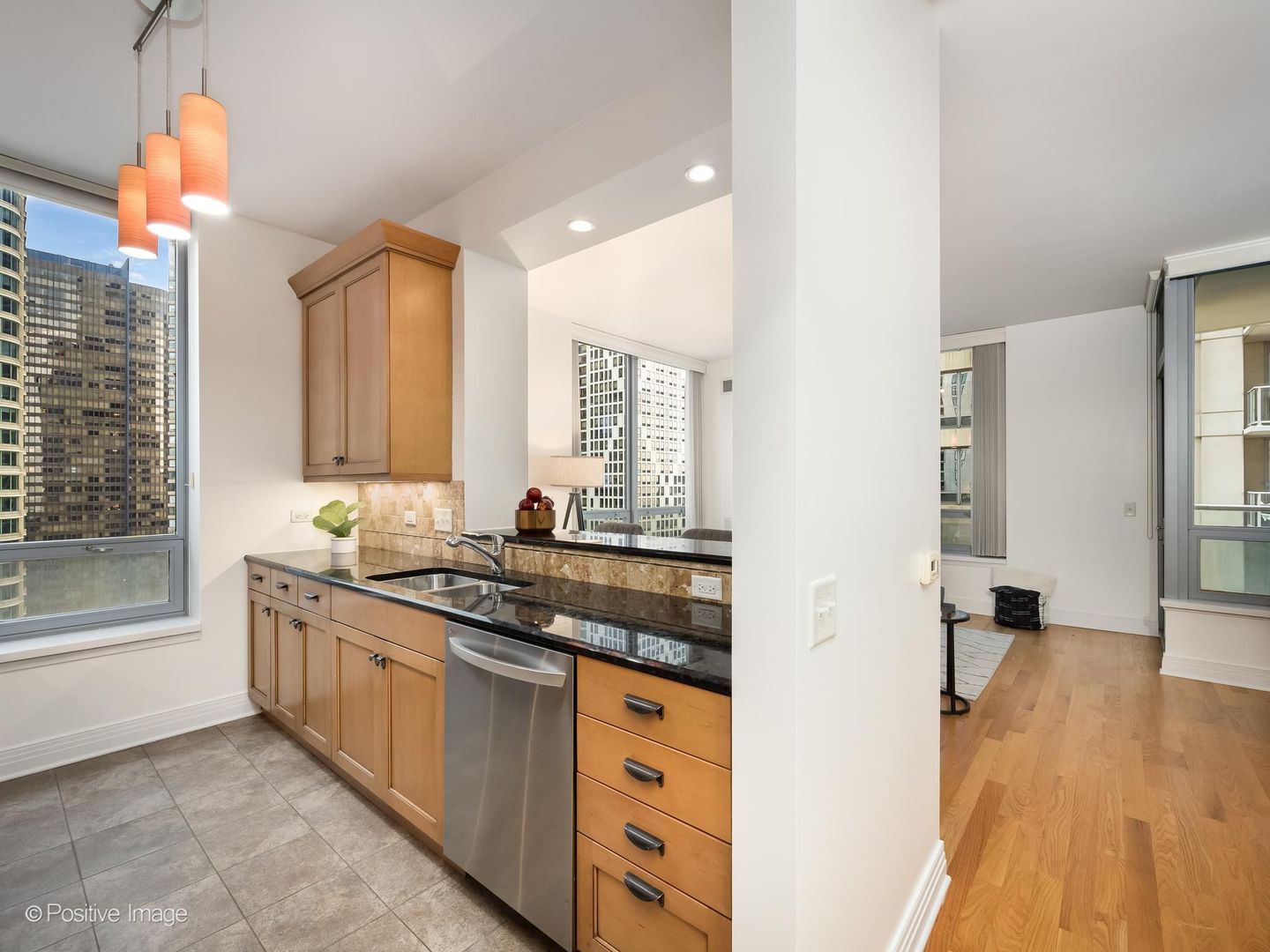 600 N Lake Shore Drive 1909 Property Photo 13