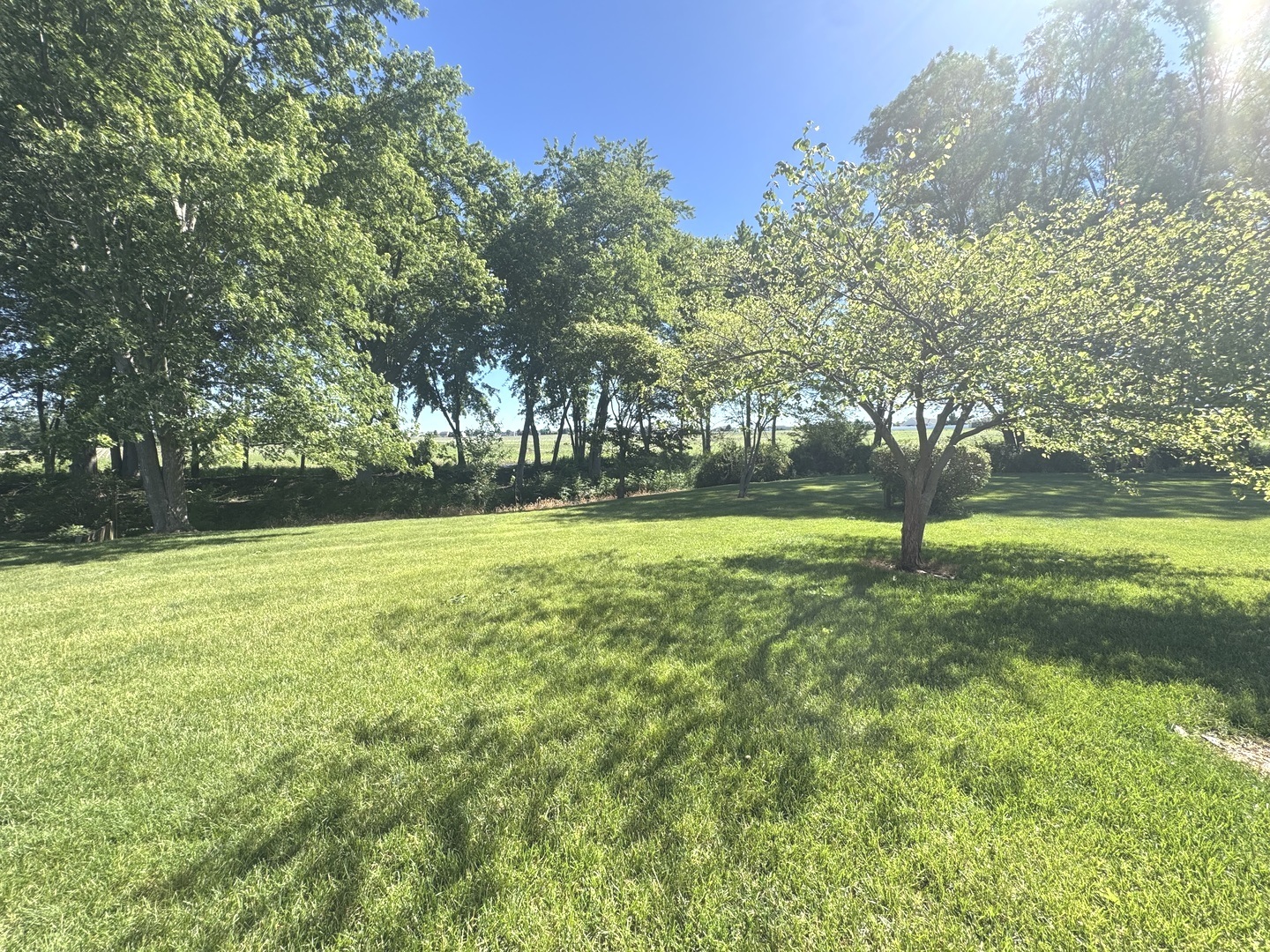 1626 Amhurst Way Property Photo 17