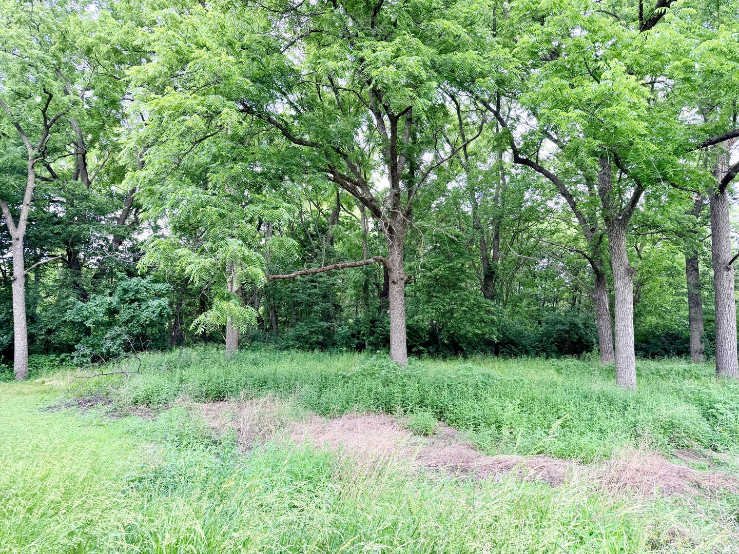 26029 N 1100 E Road Property Photo 2