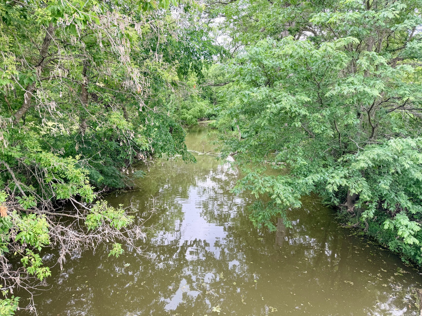 26029 N 1100 E Road Property Photo 4