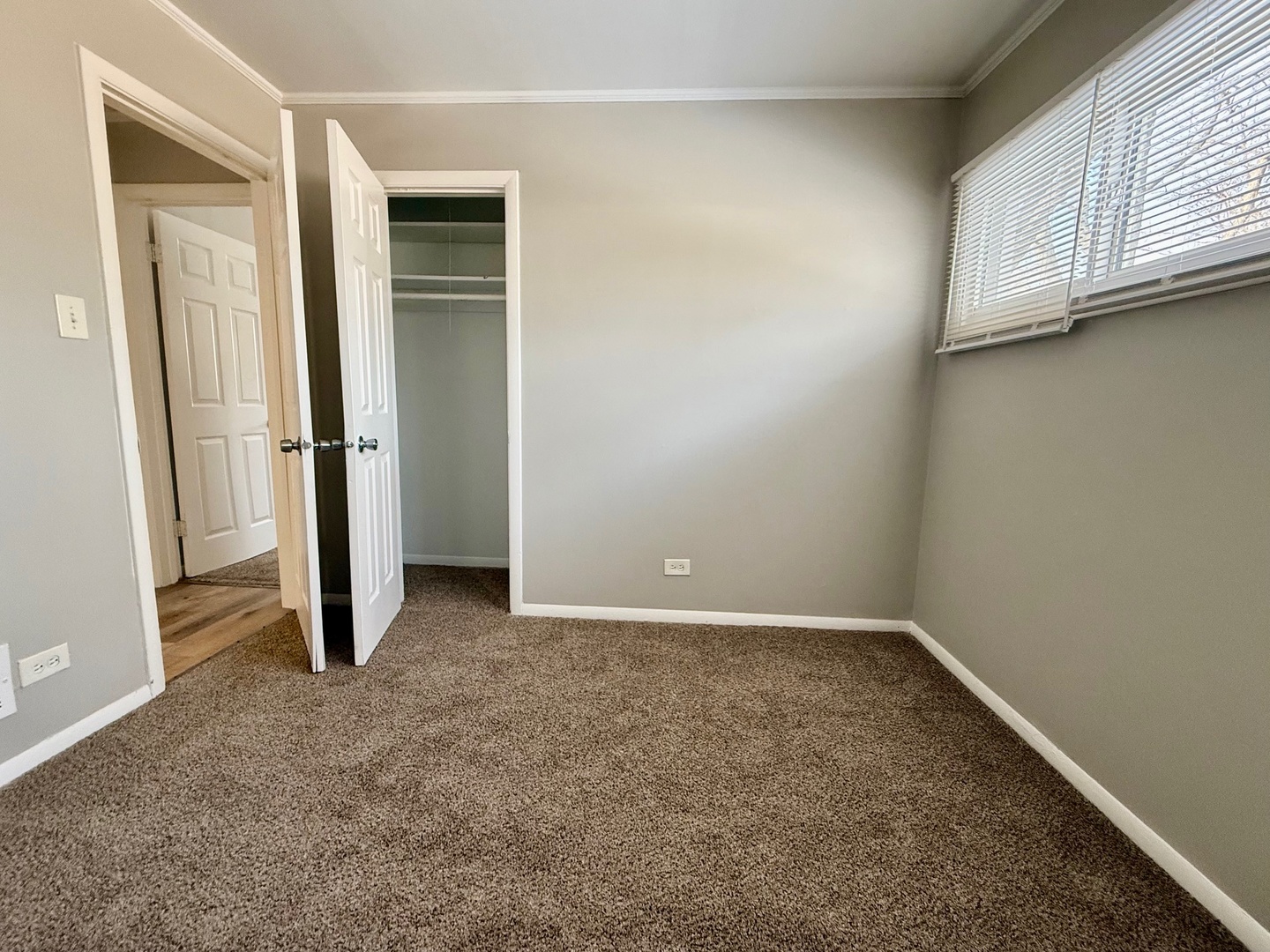 2904 Woodworth Place Property Photo 9