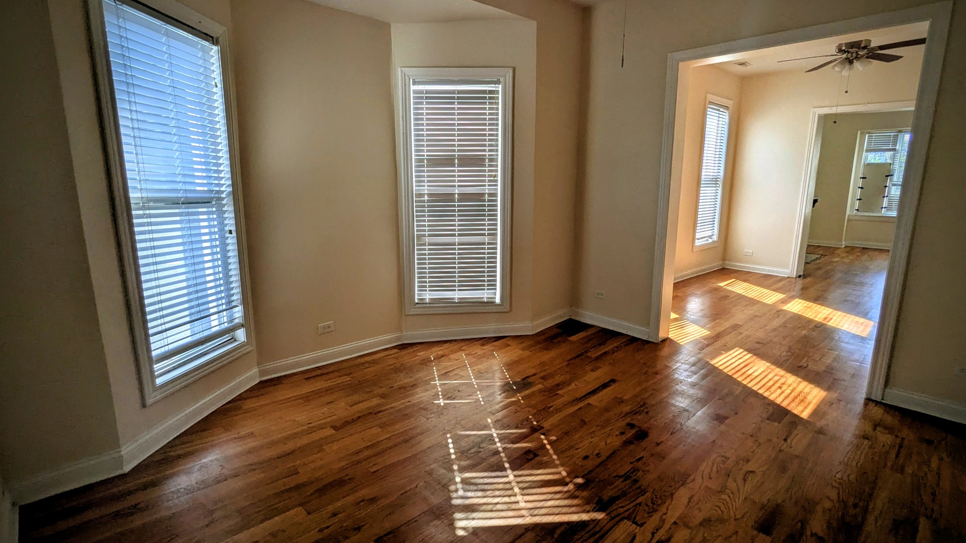 4339 S Indiana Avenue Property Photo 6