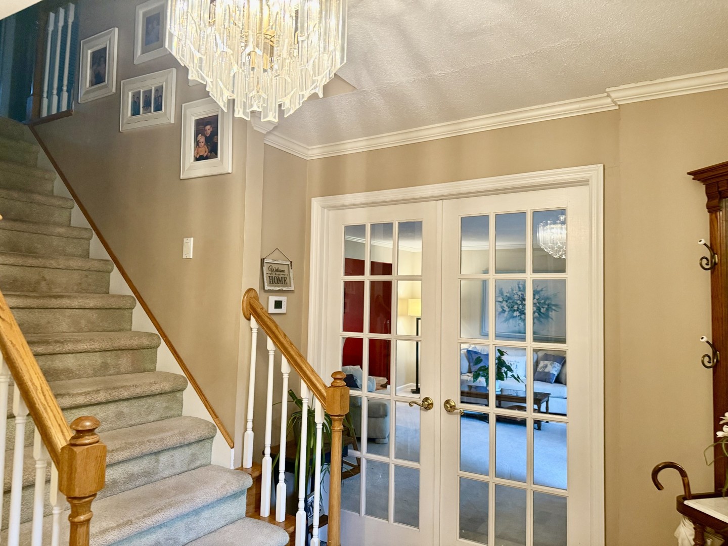 7 Westminster Drive Property Photo 5
