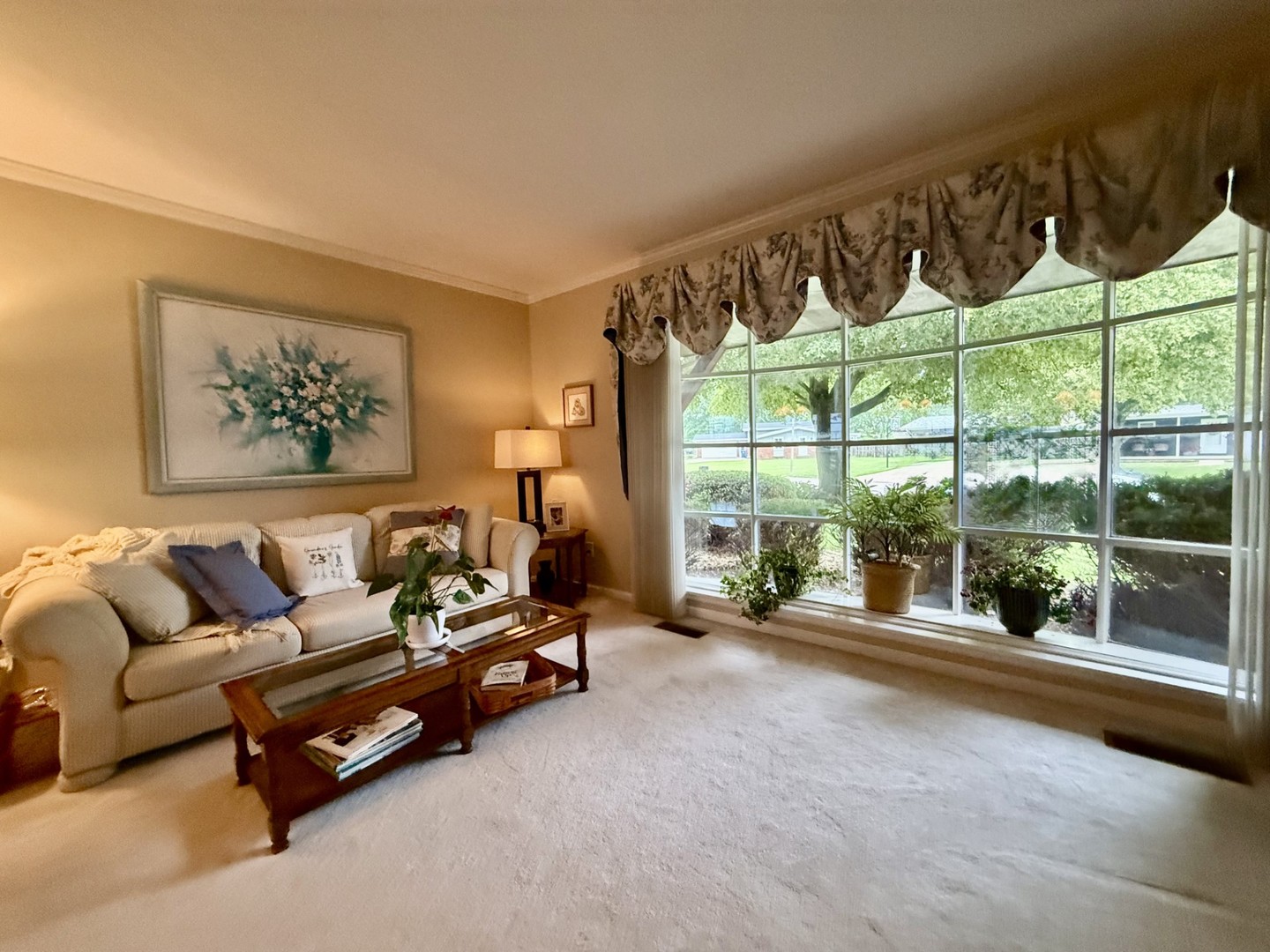 7 Westminster Drive Property Photo 8
