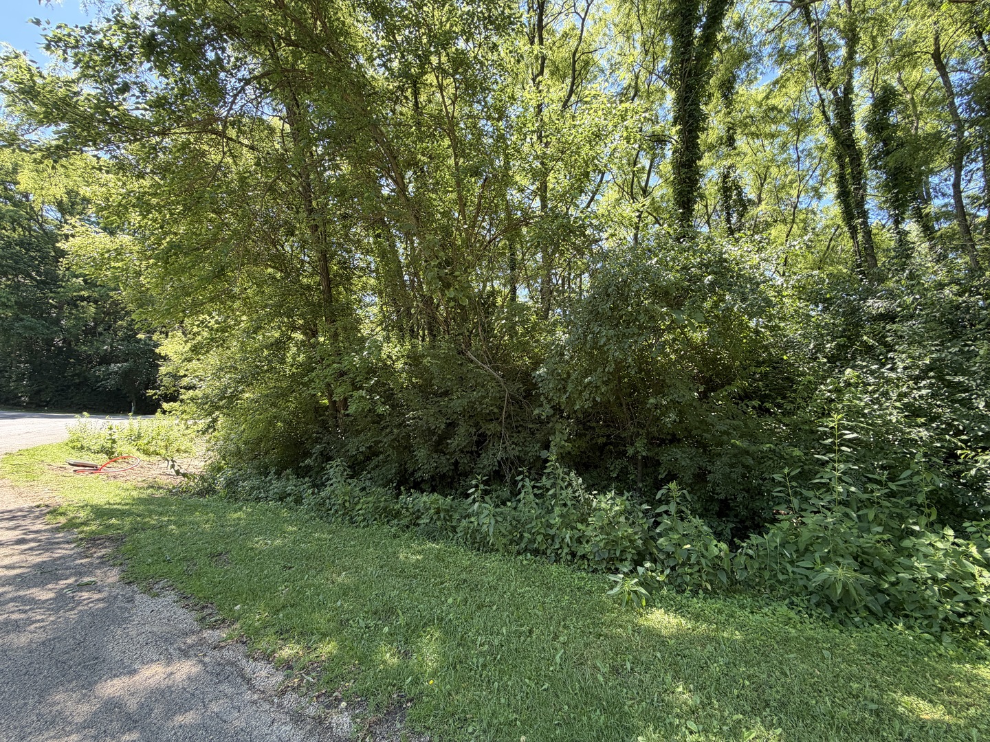 900 Timber Trail Drive Property Photo 3
