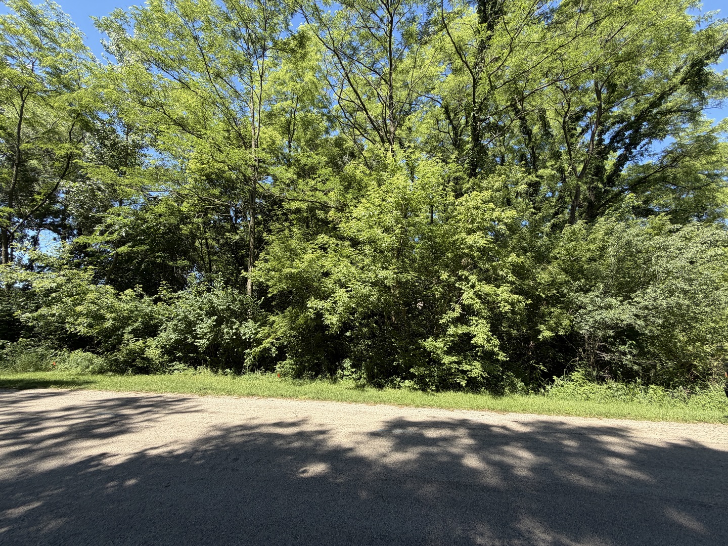 900 Timber Trail Drive Property Photo 4