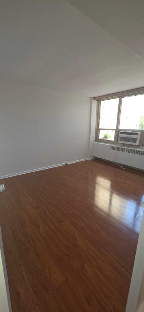 3950 N Lake Shore Drive 317c Property Photo 7