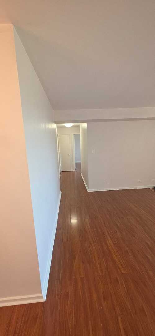 3950 N Lake Shore Drive 317c Property Photo 9
