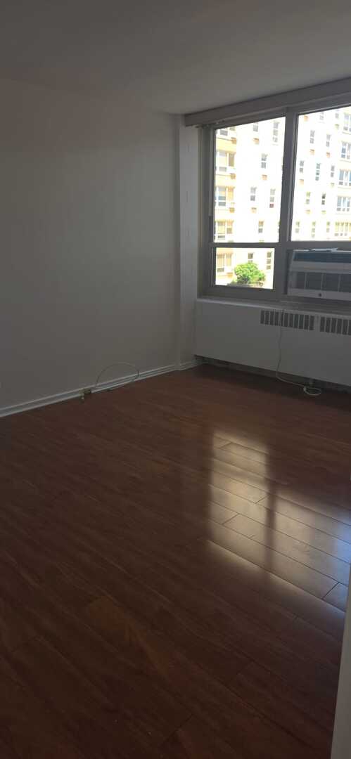 3950 N Lake Shore Drive 317c Property Photo 10
