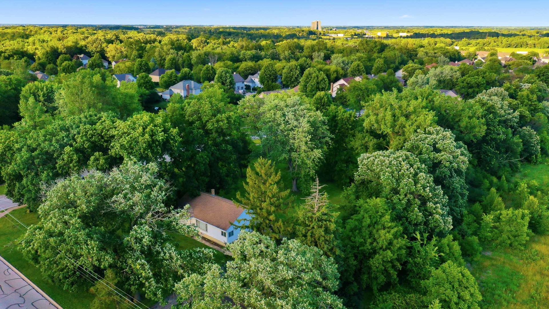 3s103 S Raddant Road Property Photo 8