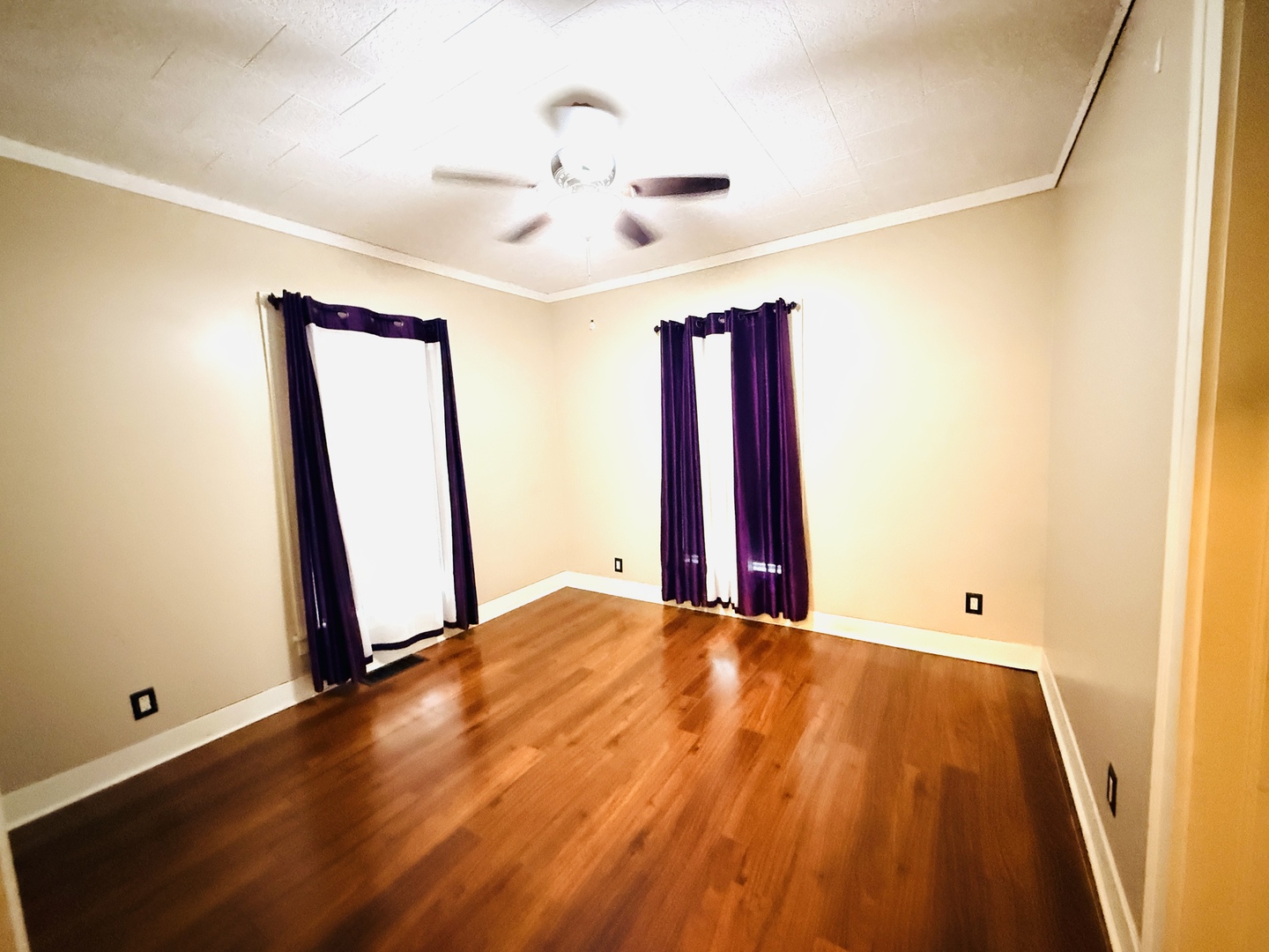 104 Gilbert Street Property Photo 12