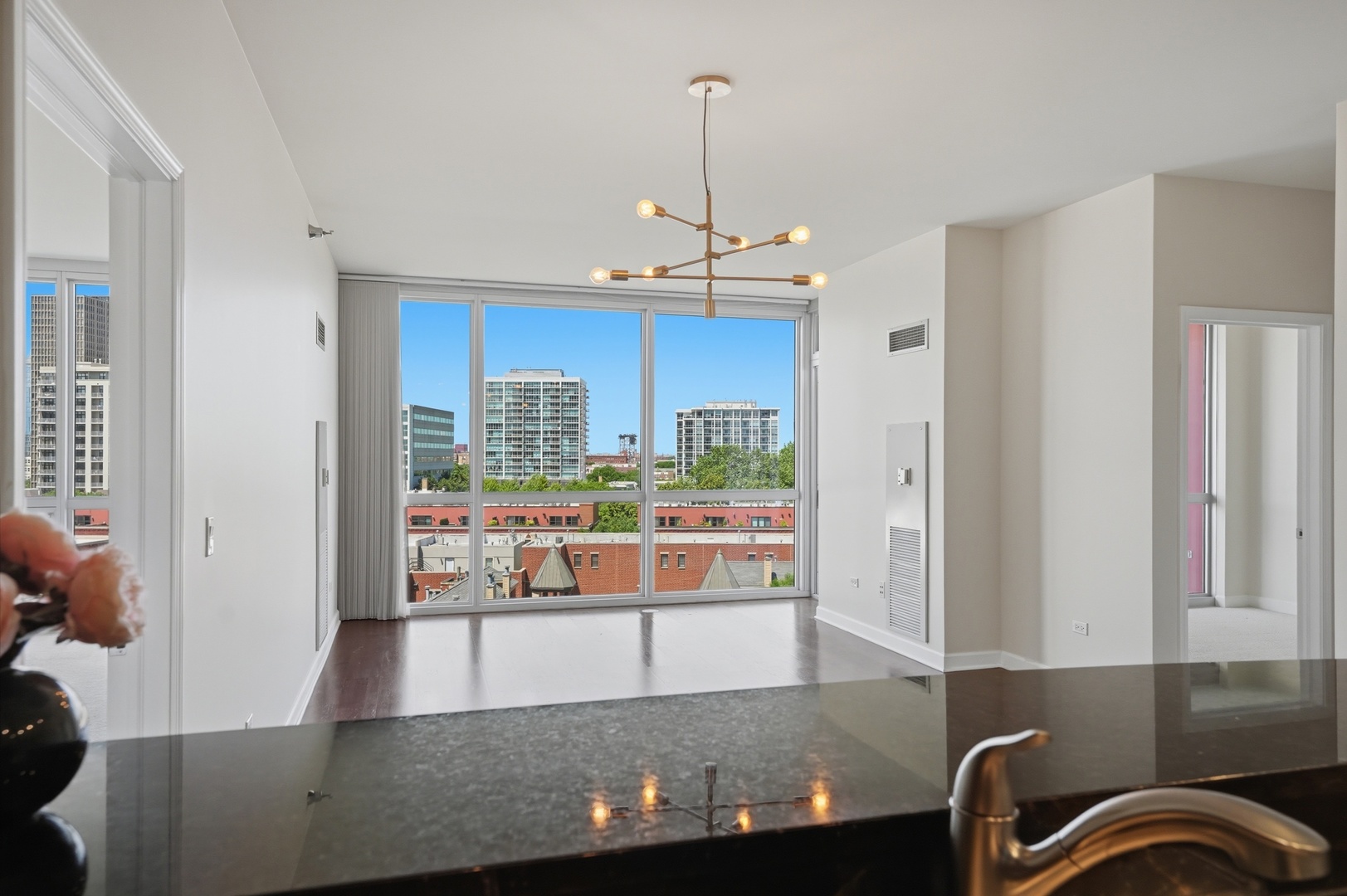 1841 S Calumet Avenue 810 Property Photo 11