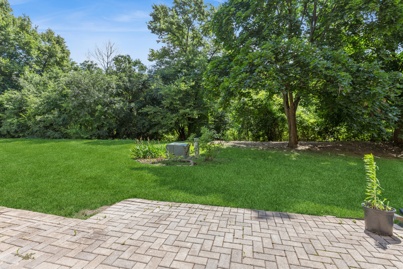 503 Country Lane Property Photo 16