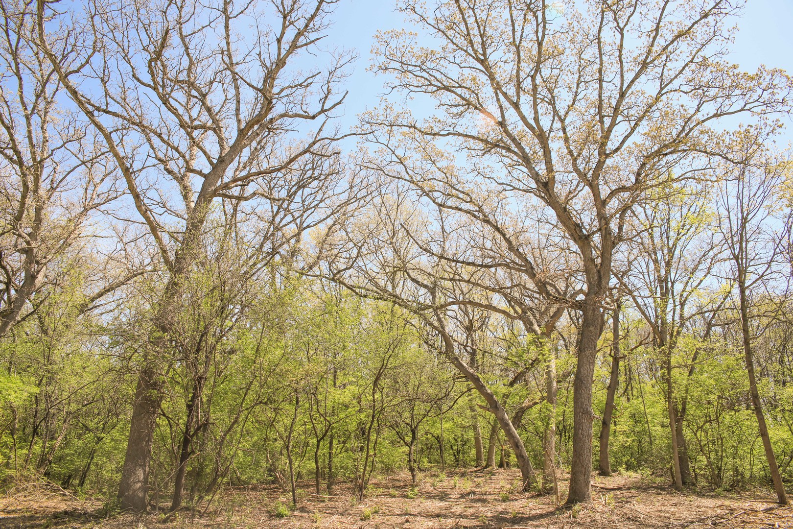 802 Echo (lot 23) Trail Property Photo 1