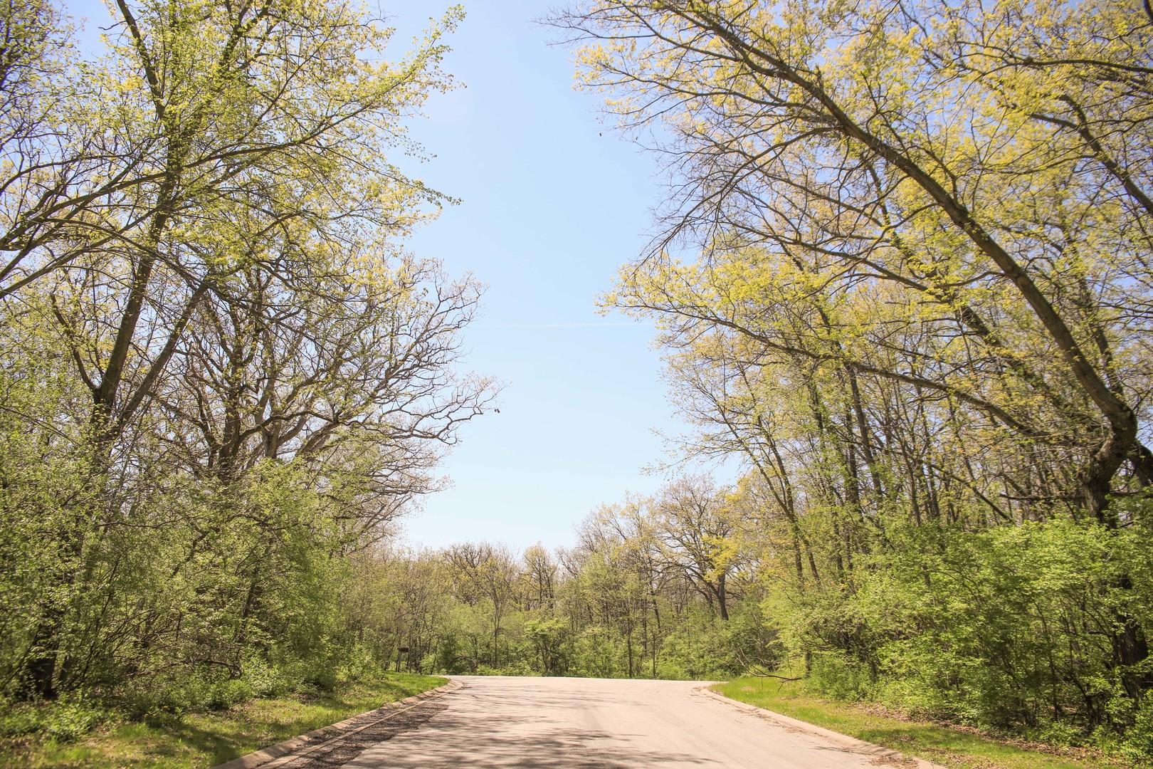802 Echo (lot 23) Trail Property Photo 2