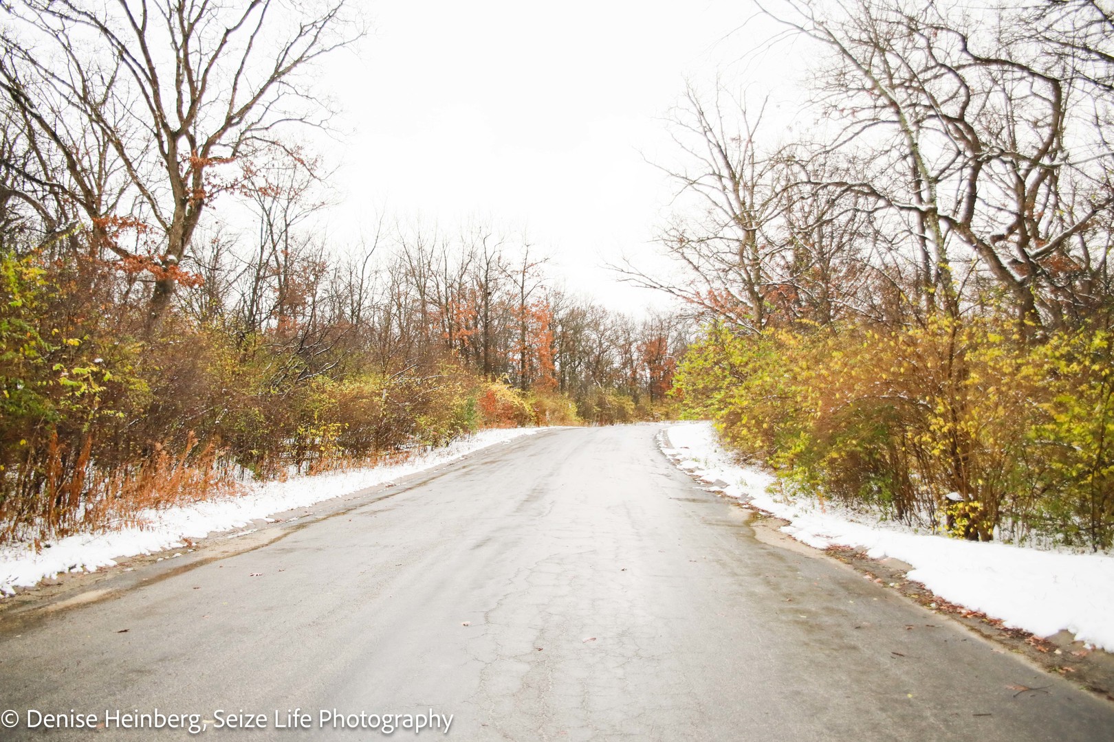 802 Echo (lot 23) Trail Property Photo 4