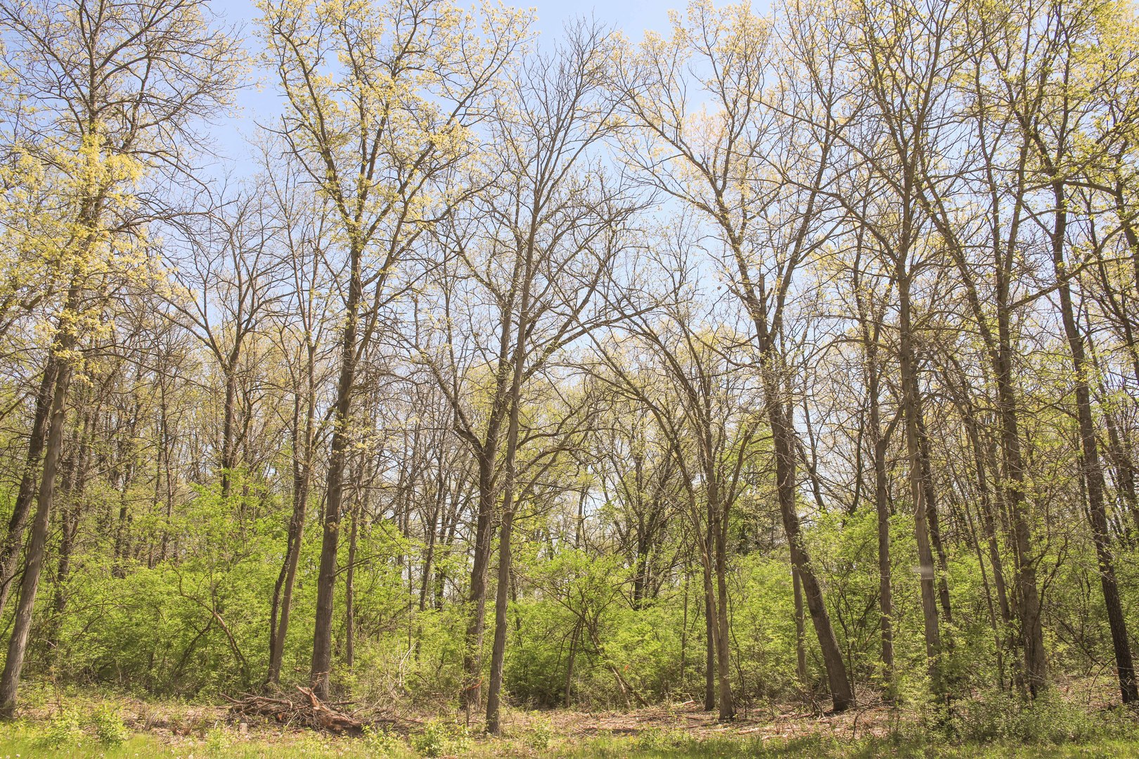 806 Echo (Lot 22) Trail Property Photo 1